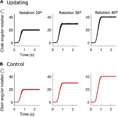 On the Dynamics of Spatial Updating